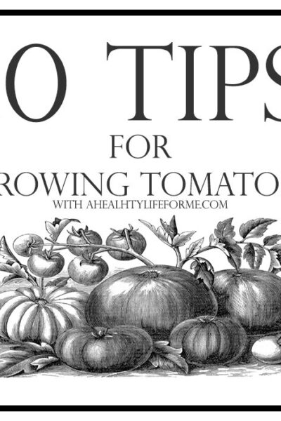 10 Tips for Growing Tomatoes | ahealthylifeforme.com